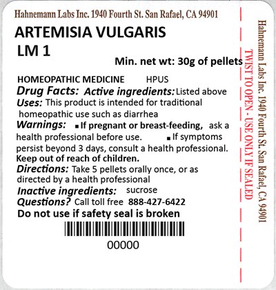 Artemisia Vulgaris LM 1.jpg Artemisia Vulgaris LM 1 - Artemisia Vulgaris LM 1